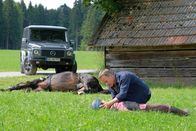 Frühling – Ein furchtbarer Unfall ist geschehen. Mark Weber (Marco Girnth) kümmert sich um die junge Reiterin Charlotte Gossner (Irene Böhm), die nach dem Beinahe-Zusammenprall zunächst bewegungslos im Gras liegt.