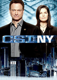 CSI: NY – CSI: NY (2011)