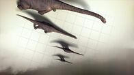 Jurassic C.S.I. – CGI: Looking down on scientific grid to see a comparison of 4 giant sauropods.