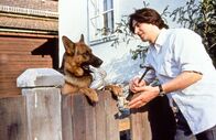 Kommissar Rex – Während Richie Moser (Tobias Moretti) den Zaun repariert, hat sich Rex wieder einen Streich ausgedacht.