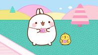 Molang – Piu Piu will ein Foto von seinem Lieblings-Fußballspieler machen.