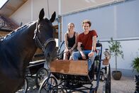 Checker Julian – Mit Conny und ihrem Pferd Trakki lernt Julian das Kutschefahren.