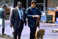 Scott & Huutsch – Turner & Hooch Reginald VelJohnson Tom Hanks