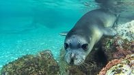 Welt der Tiere – Welt der Tiere (2013)