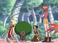 One Piece – Do, 27.06., 16:50 Uhr