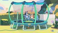 Bluey – Sa, 27.09., 17:30 Uhr