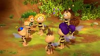Die Biene Maja – Die Bienenschüler freuen sich auf die Sternschnuppenparty.