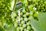 P.M. Wissen – Wie sieht der Weinbau in Zukunft aus ?