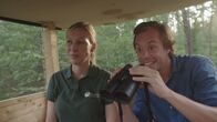 Checker Tobi – Tobi mit Försterin Marion: Ob die beiden ein Reh beobachten können?