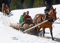 Wunderland – Moderator Nik Hartmann auf dem Holztransportschlitten