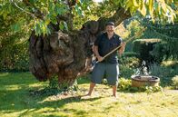 Garten & Lecker – Die dritte Gartenreise geht nach Baden-Württemberg. Axl Jansen hat als Fotograf lang in Berlin und Paris gelebt und nun den gut 800 Quadratmeter großen Garten seiner Eltern in Besigheim in der Nähe von Stuttgart geerbt. Prachtstück mitten auf dem Grün ist ein großer alter Kirschbaum, unter dem er gerne feiern möchte.