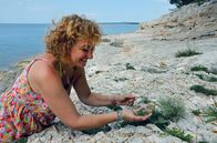 Zu Tisch ... – Marta Fazlić sammelt im Juni wilden Meerfenchel auf der Insel Lošinj.