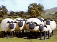 Shaun das Schaf – Shaun (vorn, re.) und seine Freunde leben auf der Weide eines idyllisch gelegenen Bauernhofes.