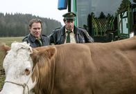 Hubert und Staller – Hubert (Christian Tramitz, links) und Staller (Helmfried von Lüttichau) versuchen die Kuh von der Straße zu bewegen - ohne Erfolg!