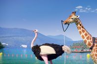 Athleticus – Die Giraffe bekommt vom Strauß die letzten Instruktionen für seinen Flug mit dem Fallschirm.