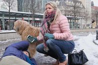 In aller Freundschaft – Sina Blasczik (Caroline Maria Frier) wollte sich eigentlich mit einem Blind Date treffen, doch er ist nicht erschienen. Statt dessen kommt ein Hund auf sie zugelaufen und das Herrchen, welches das Tier davon abhalten wollte (Bernhard Conrad), bricht neben Sina zusammen.