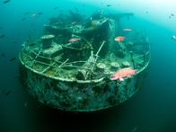 Mysteriöse Inseln – Faszinierende Schiffswracks und dunkle Unterwassertunnel entführen Taucher auf Kanadas Bell Island in ein unbekanntes Kapitel der Geschichte. (Kredit: Jill Heinerth)