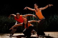 Tele-Gym – Mit den Dance Workouts wird der gesamte Körper von Kopf bis Fuß trainiert. Die acht Folgen haben unterschiedliche Schwierigkeitsstufen und verschiedene tänzerische Stilrichtungen: von der klassischen Dance-Aerobic über sexy Latino bis hin zu erdigen Afro-Kombinationen und hippen Funk-Moves.