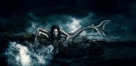 Mysterious Mermaids – (1. Staffel) - Mysterious Mermaids - Artwork