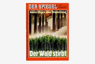 DOK – Diese Titelgeschichte der deutschen Zeitschrift «Der Spiegel» löste ein Umdenken aus.