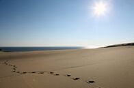 Wilde Ostsee – Die Ostsee ist das jüngste Meer der Erde und erst nach der letzten Eiszeit entstanden. Es scheint so vertraut, bietet aber viele Überraschungen. Wind und Wellen formen bis heute die Ufer der Ostsee. Die erste Folge führt von Dänemarks Nordspitze, über die Halbinsel Darß und die Kurische Nehrung bis zu den endlosen Stränden Lettlands. - Foto: Weiße Düne, Kurische Nehrung.