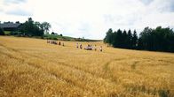 SommerCamp - Back To the Roots – Die Camp-Kids starten einen gemeinsamen Ausflug in den Wald. Was da wohl auf sie wartet?