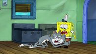 SpongeBob Schwammkopf – L-R: Kenny the Cat, SpongeBob