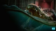 The Flood - Danger is Rising – So, 20.07., 00:15 Uhr