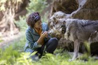 Der Ranger - Paradies Heimat – Die Wolfsbiologin Emilia (Lisa Tzschirner) versorgt den verletzten Wolf, der von einem Streifschuss erfasst worden ist. Eine Gruppe Jäger hatte das Tier gejagt.
