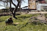 Ein Tag – Alles im Garten verändert sich binnen weniger Tage: Die ersten Triebe und Knospen sprießen und die Tiere werden wieder munter.