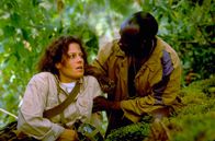 Gorillas im Nebel – Nachdem Dian Fossey (Sigourney Weaver) und Sembagare (John Omirah Miluwi) nach sechs endlosen Wochen endlich zum ersten Mal auf Gorillas stoßen, greifen diese die Fremden an. Als die junge Affenforscherin sich in Sicherheit bringen möchte, stürzt sie.