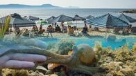 Universum: Der Strand – 7,5 Trillionen Sandkörner liegen auf den Stränden der Welt – mehr als wir Sterne im Universum sehen können. Jeder einzelne Strand ist ein Mikrokosmos für sich.