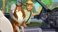 Lassie – Lassie hat Zoés Vater Graham zu Hilfe geholt.