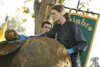 Bones - Die Knochenjägerin – Dr. Brennan (Emily Deschanel)