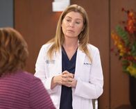 Grey's Anatomy – Dr. Meredith Grey (Ellen Pompeo)