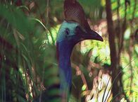 Welt der Tiere – Welt der Tiere (2006)