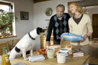 In aller Freundschaft – In aller Freundschaft (2012)