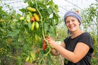 Land & lecker (WDR) – Die fünfte Reise geht ins Bergische Land. In Wipperfürth führt Rahel Kremershof zusammen mit ihrer Familie einen Biohof mit Rindern, Schafen und Hühnern. Um Regenwasser auf abschüssigen Wiesen im Boden zu halten und den Tieren im Sommer Schatten zu bieten, pflanzten sie Baumreihen aus Pappeln, Obst- und Nussbäumen. Ein Projekt, das Geduld fordert. Langfristig soll das vor den Auswirkungen des Klimawandels schützen.