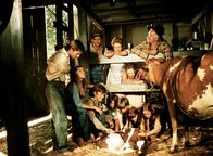 Die Waltons – Ein Kälbchen lässt die Herzen der Waltons-Kinder höher schlagen. Doch für Vater John bedeutet der Neuzuwachs nur zusätzliche Ausgaben ...