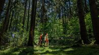 Terra X: Magie der Märchen – "Hänsel und Gretel" ist das bekannteste und schockierendste aller Grimm-Märchen. Zwei kleine Kinder irren im Wald umher. Ihre Eltern haben sie einfach ausgesetzt.