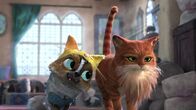 Der gestiefelte Kater: Der letzte Wunsch – l-r: Kitty Softpaws ( Salma Hayek), Puss in Boots (Antonio Banderas)