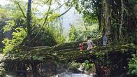 Unser grüner Planet – Eine Familie aus der Volksgruppe der Khasi überquert in Meghalaya im Nordosten Indiens eine lebende Brücke, die aus den Wurzeln eines Feigenbaums angelegt wurde.