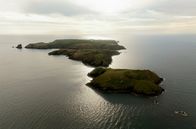 Wildes Großbritannien – Vor der Küste von Pembrokeshire liegt Skomer Island. Die Insel ist ein Vogelschutzgebiet, in dem Trottellummen, Tordalke, Kormorane, Heringsmöwen und viele andere Seevögel nisten.