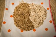 Schmatzo – Hafer.
