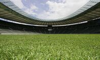 Fußball: Copa Libertadores – Fußball Allgemeine Szene
