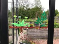 Querbeet ABC – Moderatorin Sabrina Nitsche erklärt im Querbeet Garten, wie Pflanzenvermehrung funktioniert, wie Kräuter angepflanzt und verarbeitet werden, Unkräuter sinnvoll genutzt werden und wie eine dauerhafte Kübelbepflanzung auf Balkon und Terrasse gelingt. An einem Thema werden Tipps und praktische Beispiele gezeigt und dazu Wissenswertes aus der Botanik verständlich erklärt. Einfach zum Nachmachen - auch für Nicht-Gärtner*innen.