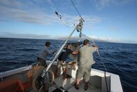Der Riesenkalmar - Gigant der Tiefsee – Azores: Guppster MK5 test at sea with the crew.