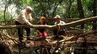 Genial konstruiert – Das indigene Volk der Khasi erbaut im nordostindischen Bundesstaat Meghalaya sogenannte lebende Brücken.