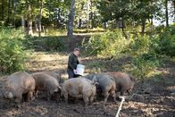 Gordon Ramsay: Kulinarische Abenteuer – So, 10.03., 18:20 Uhr