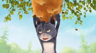 Mama Fuchs und Papa Dachs – Cäsar liebt Honig, darum will er eine Wabe der Bienen nehmen und geht ein großes Risiko ein.